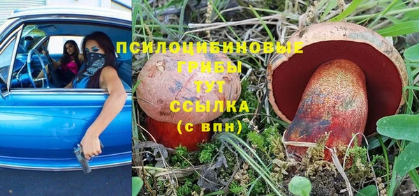 спиды Алексин