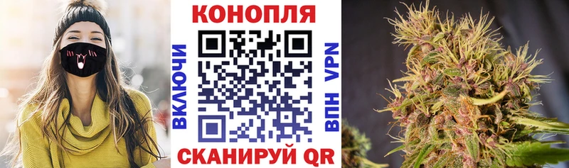 Бошки марихуана Ganja  дарнет шоп  Закаменск 
